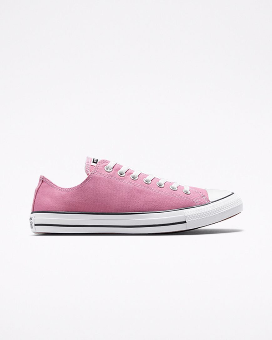 Women\'s Converse Chuck Taylor All Star Seasonal Color Low Top Shoes Pink | AU C690EZ